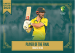 Cricket Australia World Cup Winners Limited Edition Set